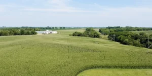 Drone view of corn field and farm.