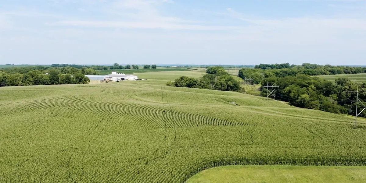 Drone view of corn field and farm.
